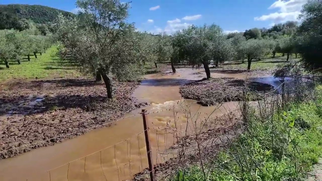 Arroyo Alquitón