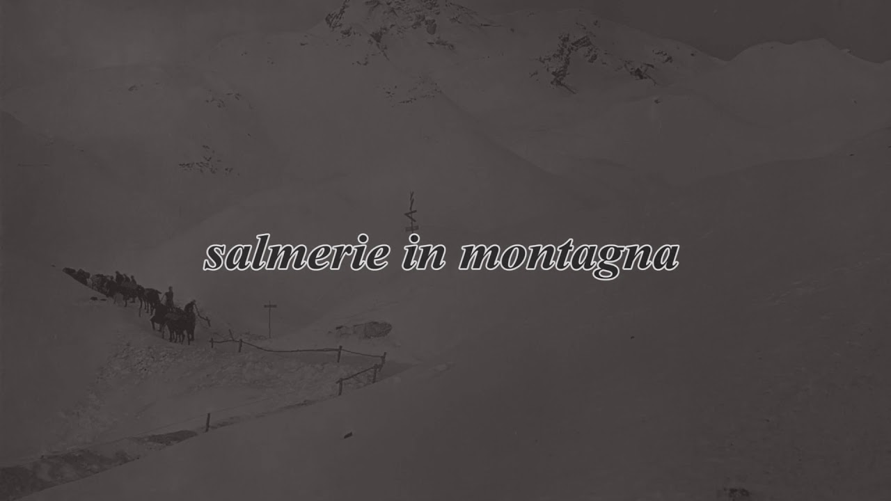 1626.- La Grande Guerra per immagini 1X22 - trasporto animali