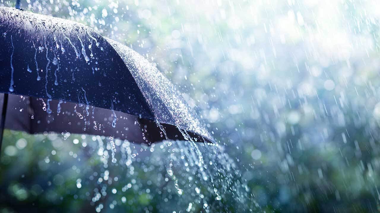 Rain likely, chance of thunderstorm Friday