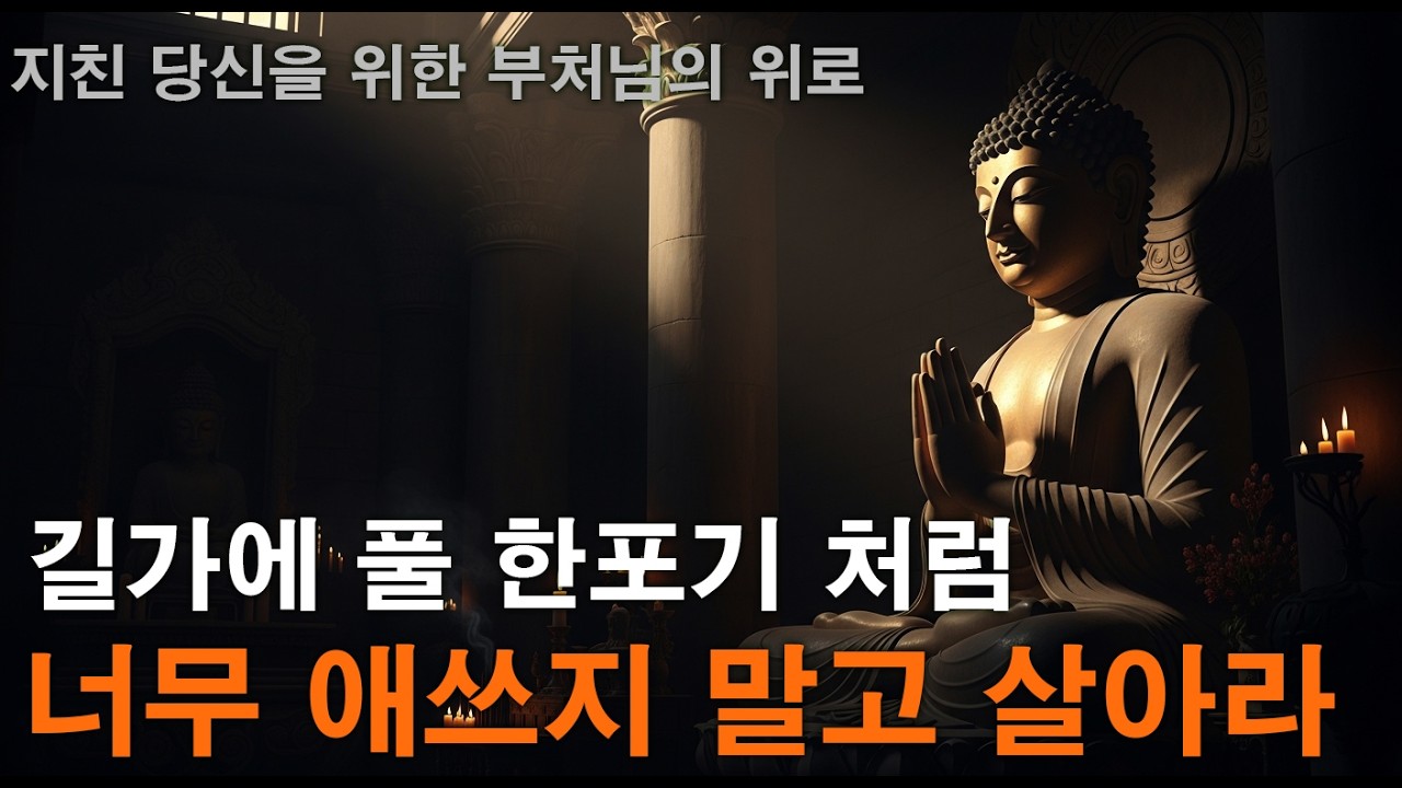 길가에 핀 풀 한포기 처럼 애쓰지 말고 살아라 머무는 마음 | A Resting Mind #긍정적마인드 #부처님명언 #삶의방식 #삶의깨달음 #위로의말