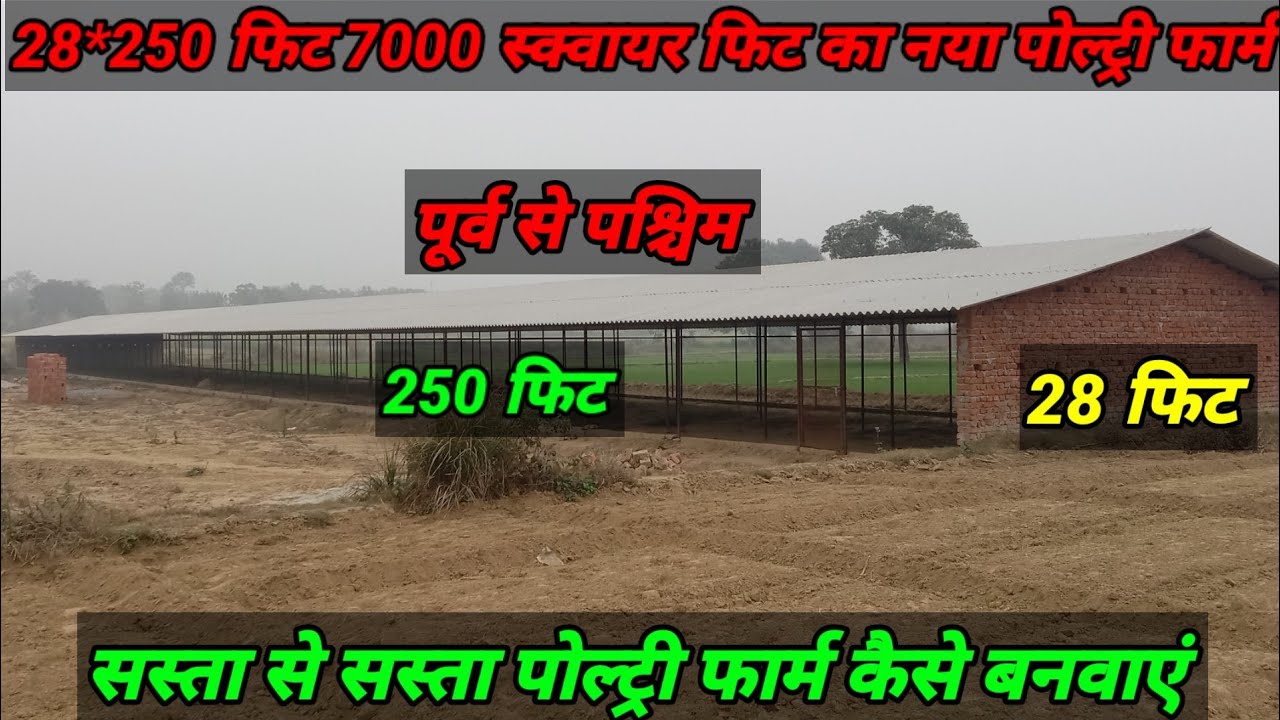 28*250 new poultry farm contraction।nya poultry farm kaise banwaye। नया पोल्ट्री फार्म कैसे बनवाएं।