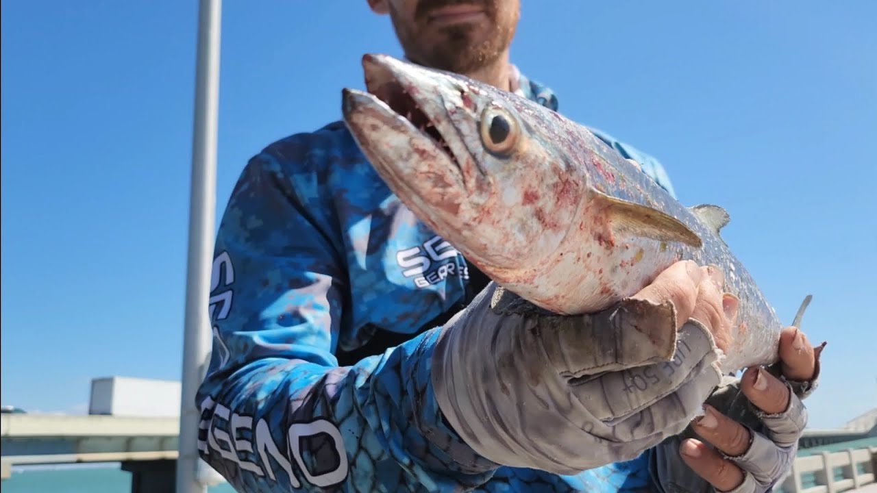 Skyway fishing pier, turn and burn spoon fishing for mad mackerel fun! here we go!