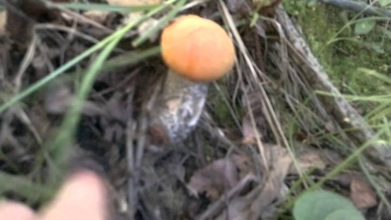 2014 06 23 3015