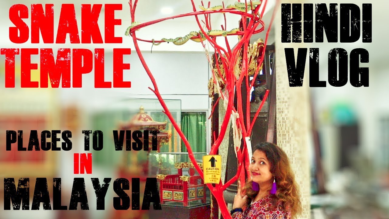 Penang Snake Temple   Travel Vlog Hindi       Places to Visit in Malaysia