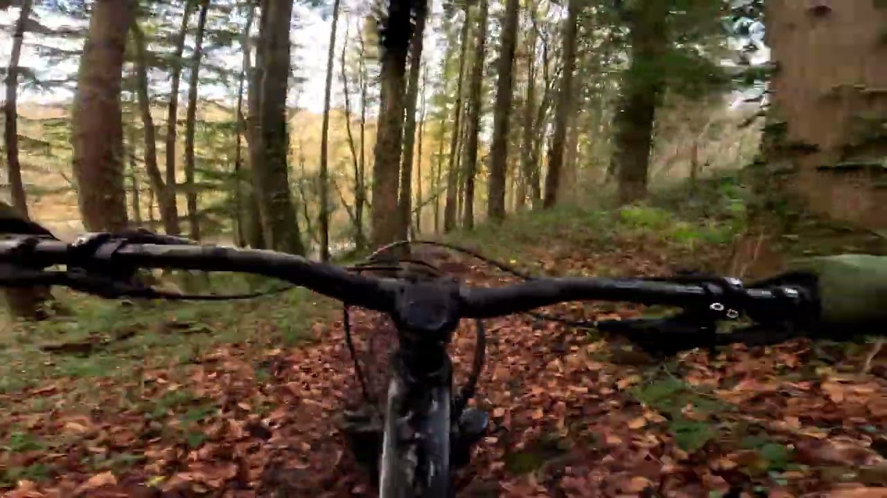 Scratchy Mc Bitey, Orchard Portman MTB