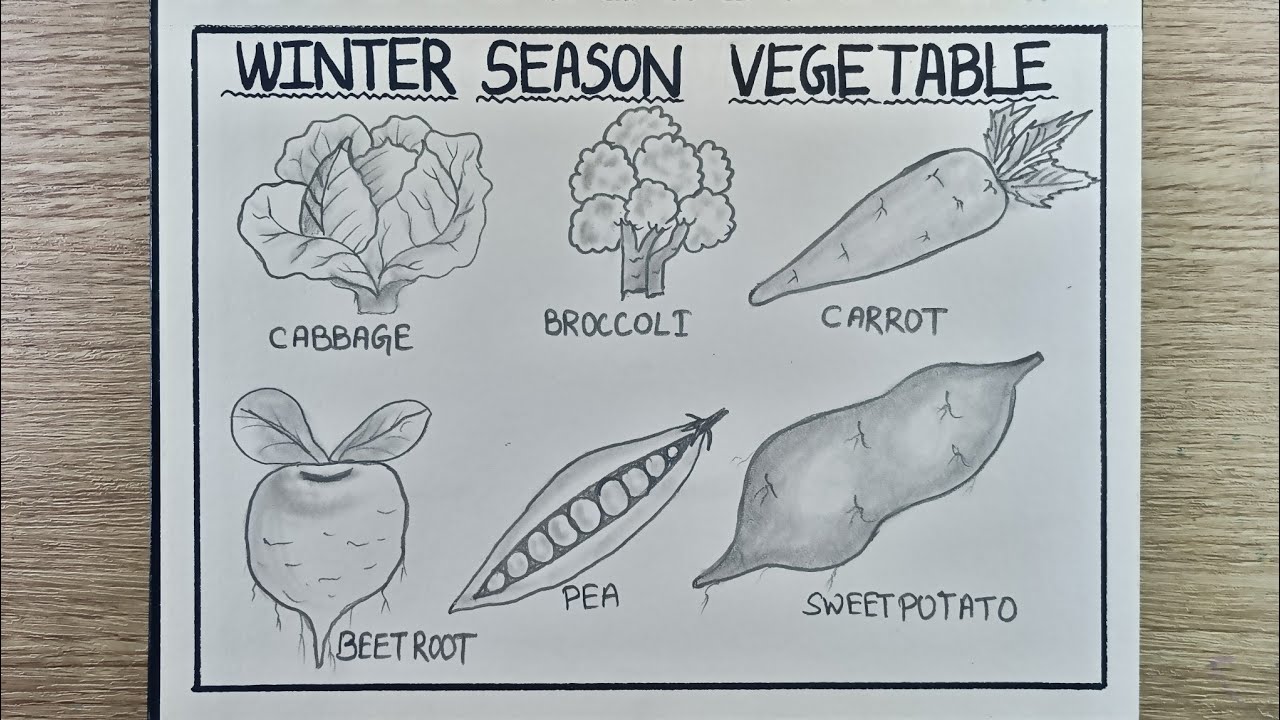 Vegetables drawing| Easy vegetable drawing step by step| Winter Vegetable drawing 