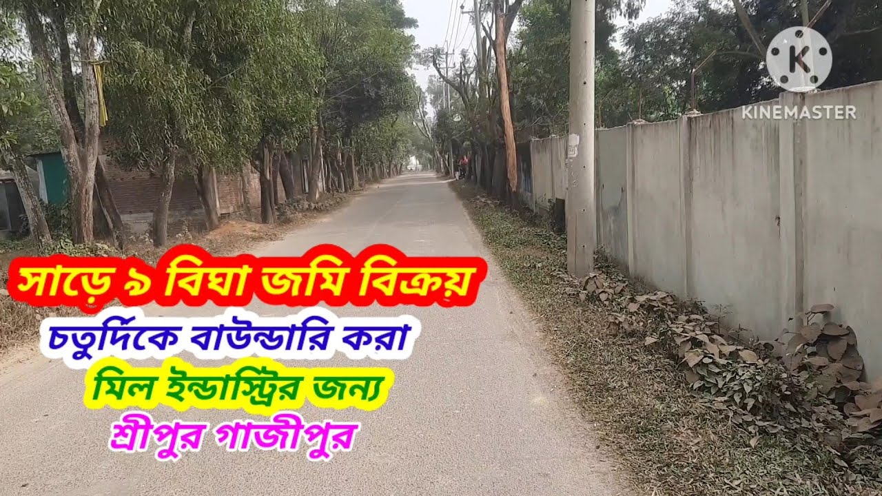 সাড়ে ৯ বিঘা জমি বিক্রি।। শ্রীপুর গাজীপুর #asset seller#Land sale Sreepur Gazipur