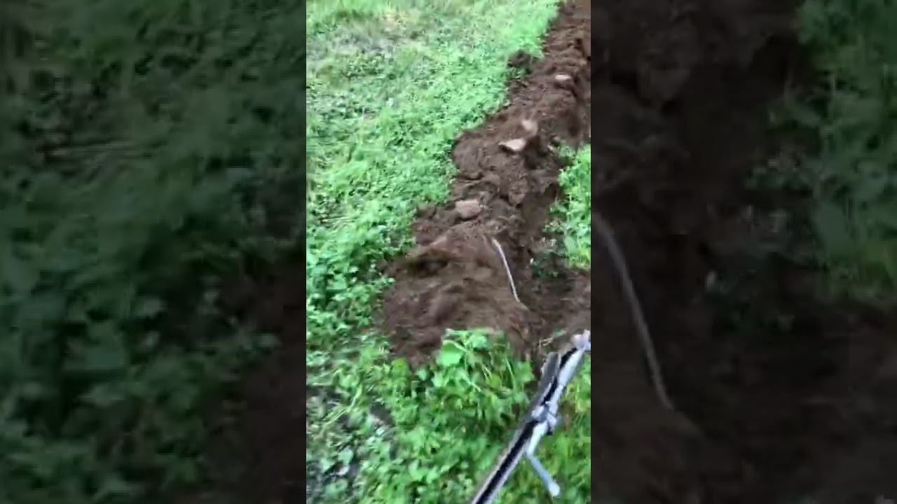 Plowing with a Brinley plow