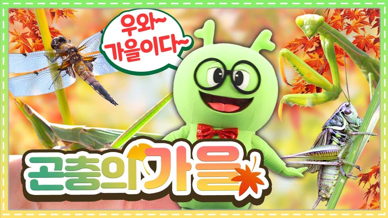 곤충의 가을ㅣ곤충은 어떻게 가을을 보낼까?ㅣ베짱이ㅣ사마귀ㅣ메뚜기ㅣ잠자리