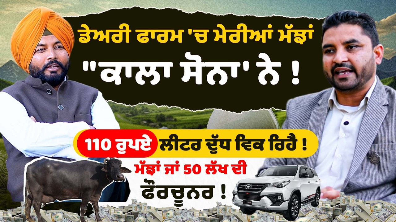 Dairy Farm 'ਚ ਮੇਰੀਆਂ ਮੱਝਾਂ 