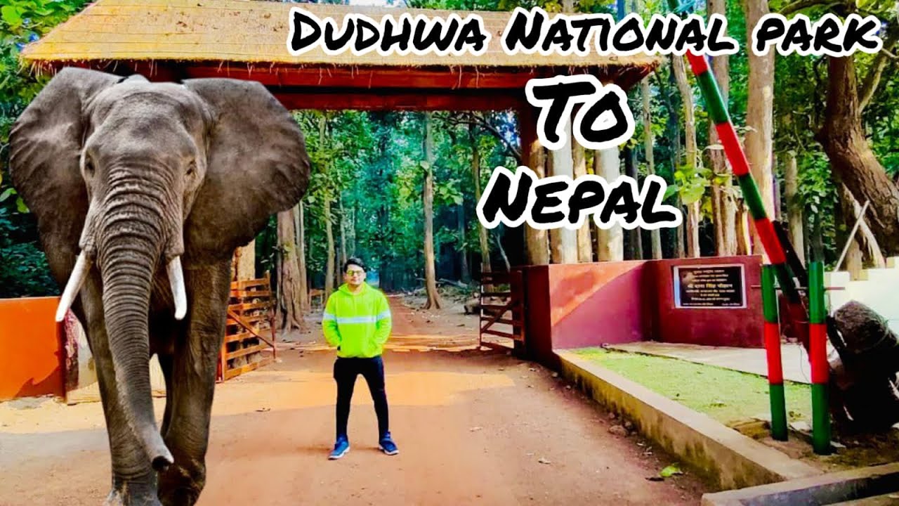 Dhangadhi Nepal Tourist Place, Nepal Tour Plan, Full Detailed Video Of Dudhwa National Park.