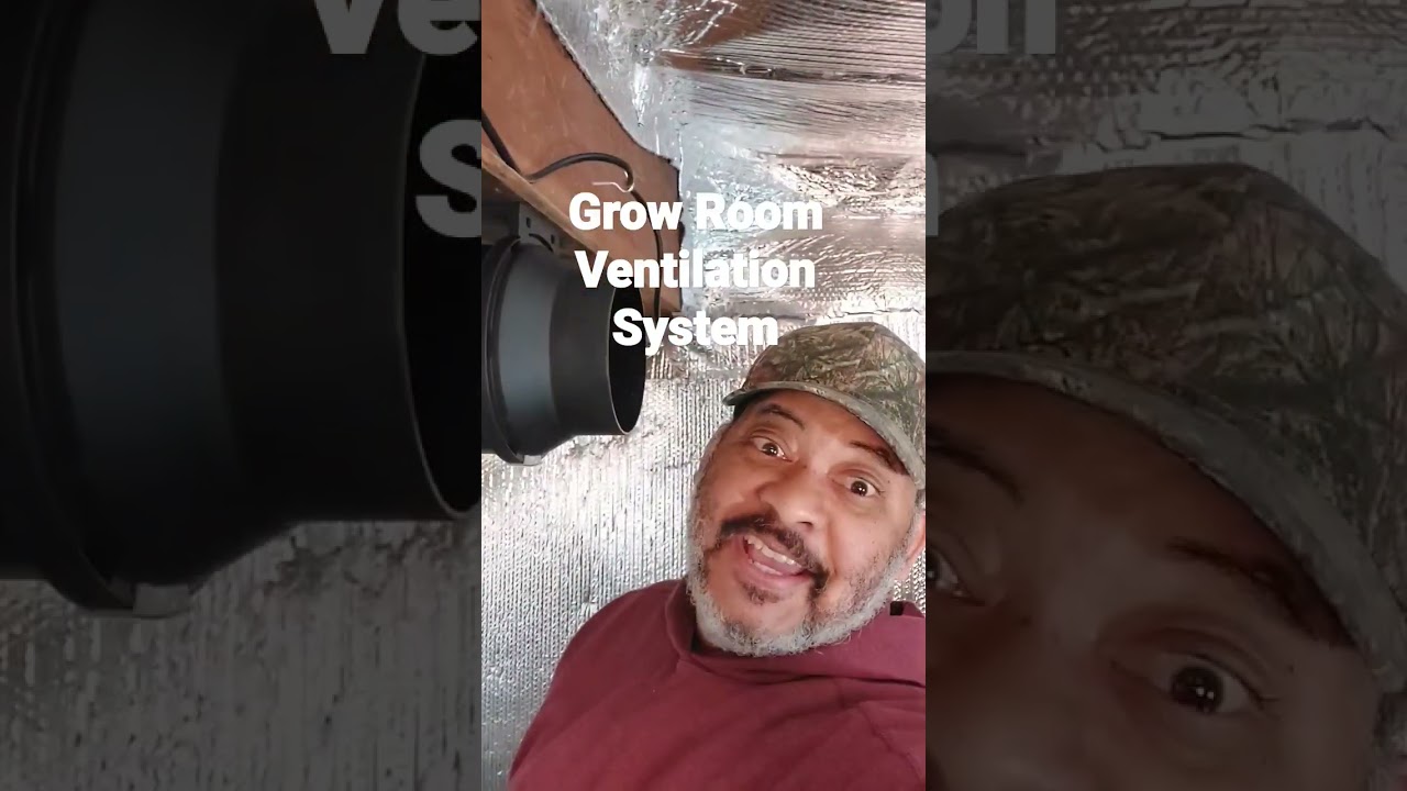 Grow Room Ventilation System #growroom