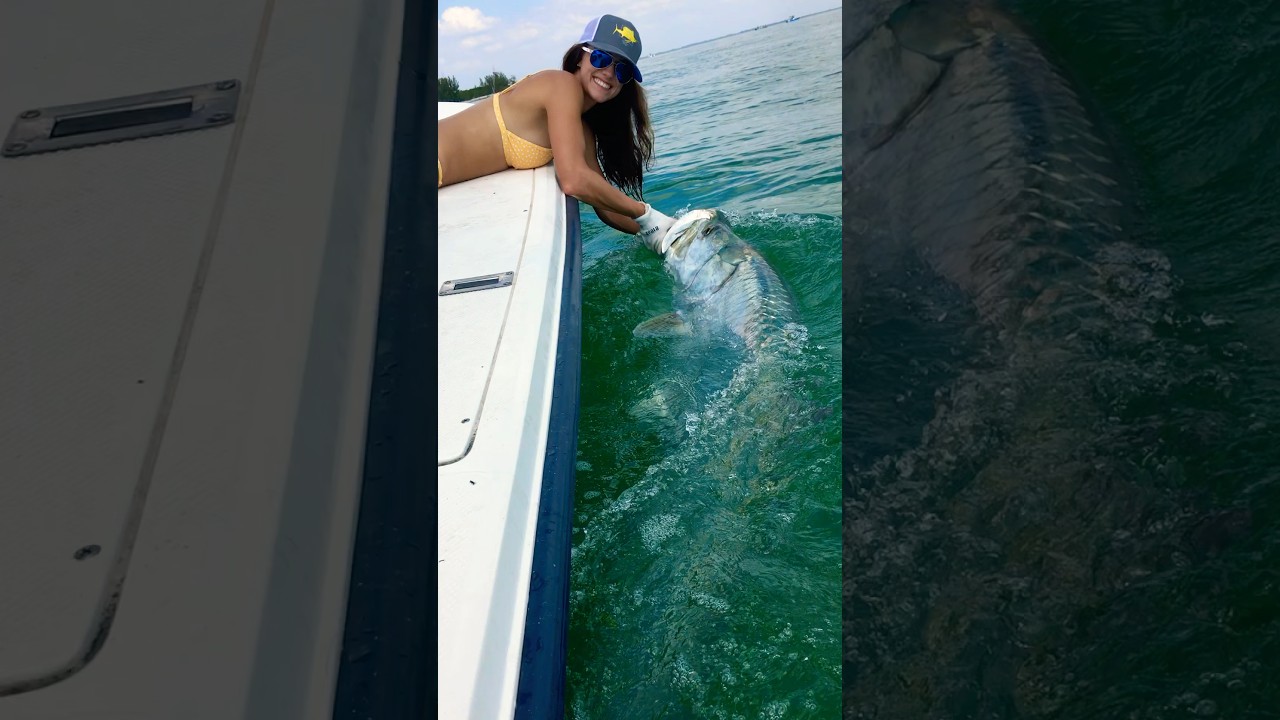 There's no feeling quite like this! What's your favorite fish to reel in? 🎣 #fishing #tarpon #fish
