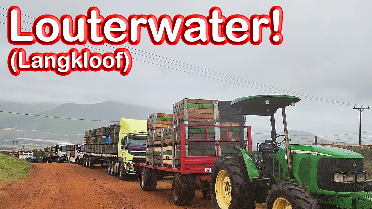 Louterwater – Where Apples and Pears are Weighed and Processed! Ep 290