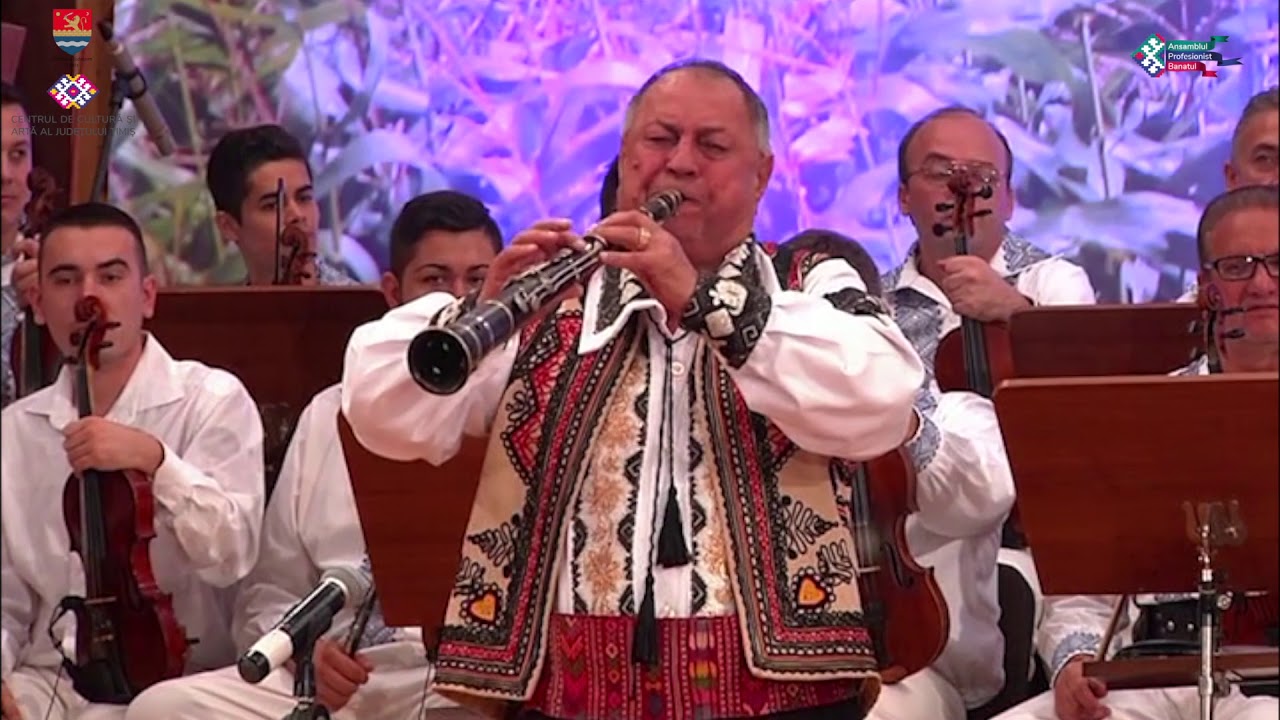 Ansamblul Profesionist Banatul  și Luca Novac