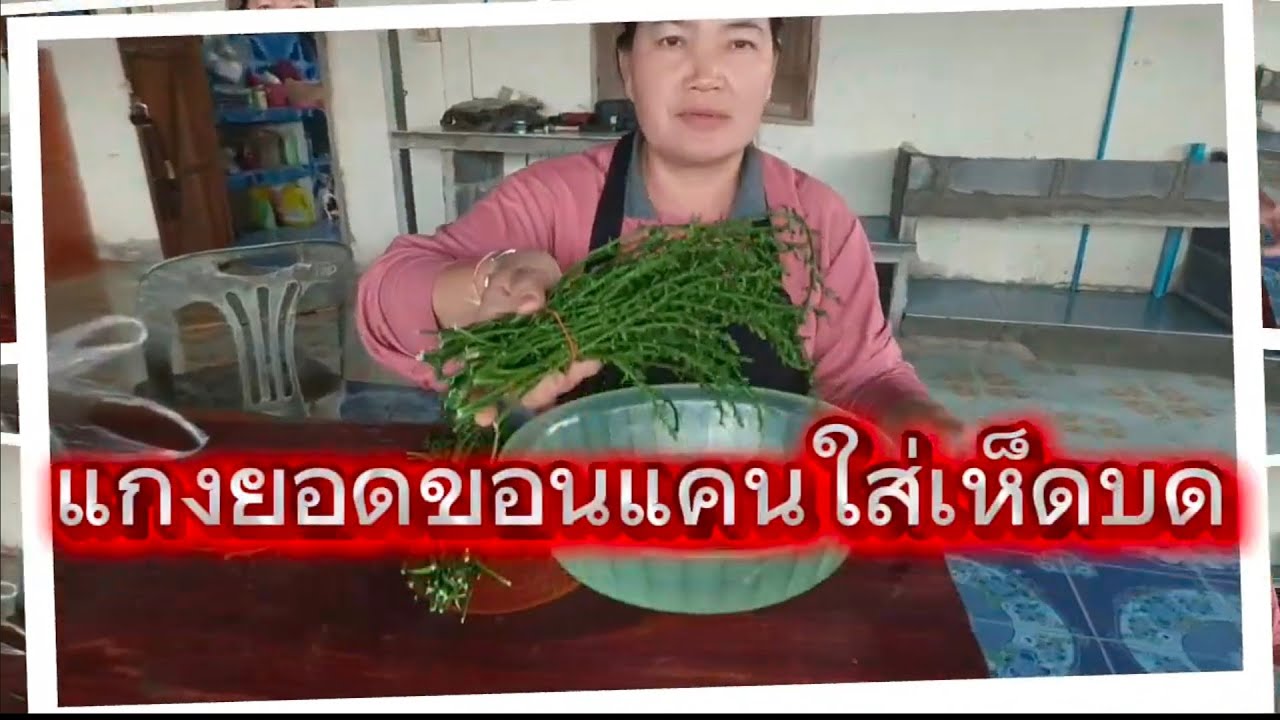 รีวิวแกงยอดขอนแคนใส่เห็ดบดแซ่บๆจ้า👍👍👍
