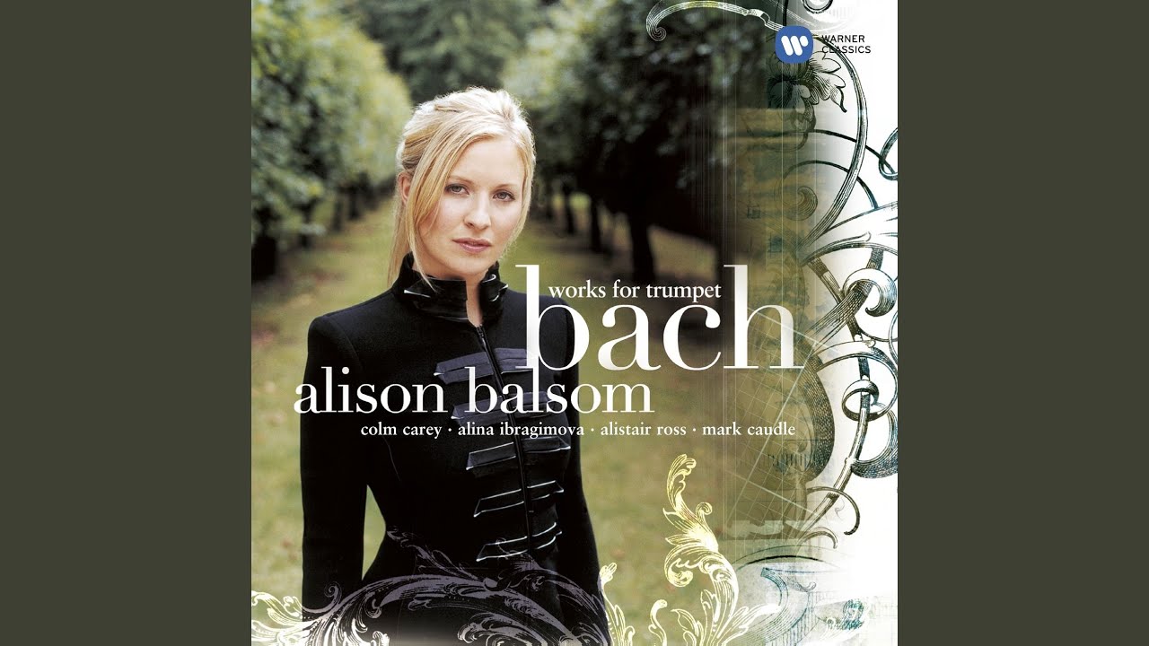 Keyboard Concerto in D Major, BWV 972: II. Larghetto (After Vivaldi's Violin Concerto, RV 230)...