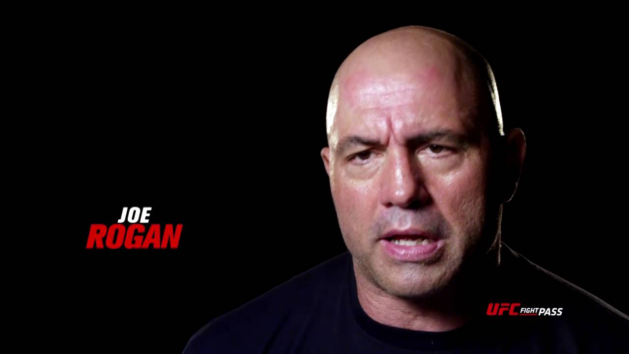 Fight Night Hamburg: Gustaffson vs Blachowicz - Joe Rogan Preview