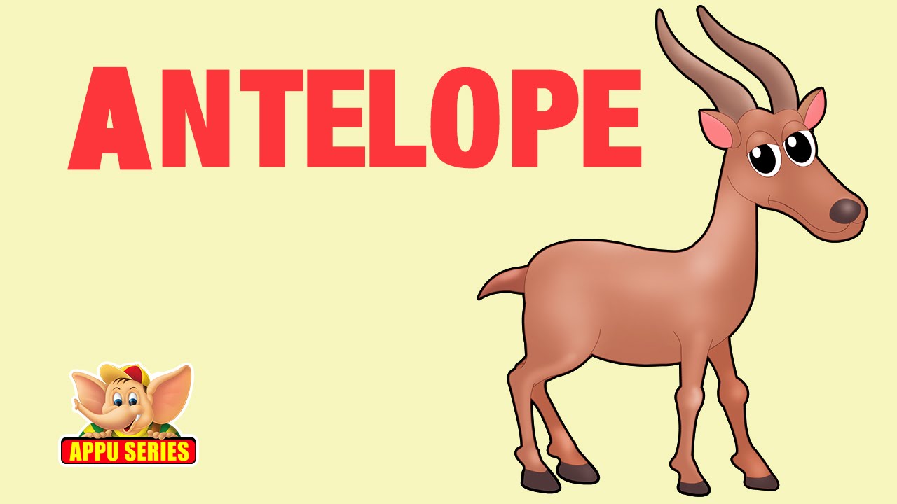 Animal Facts - Antelope