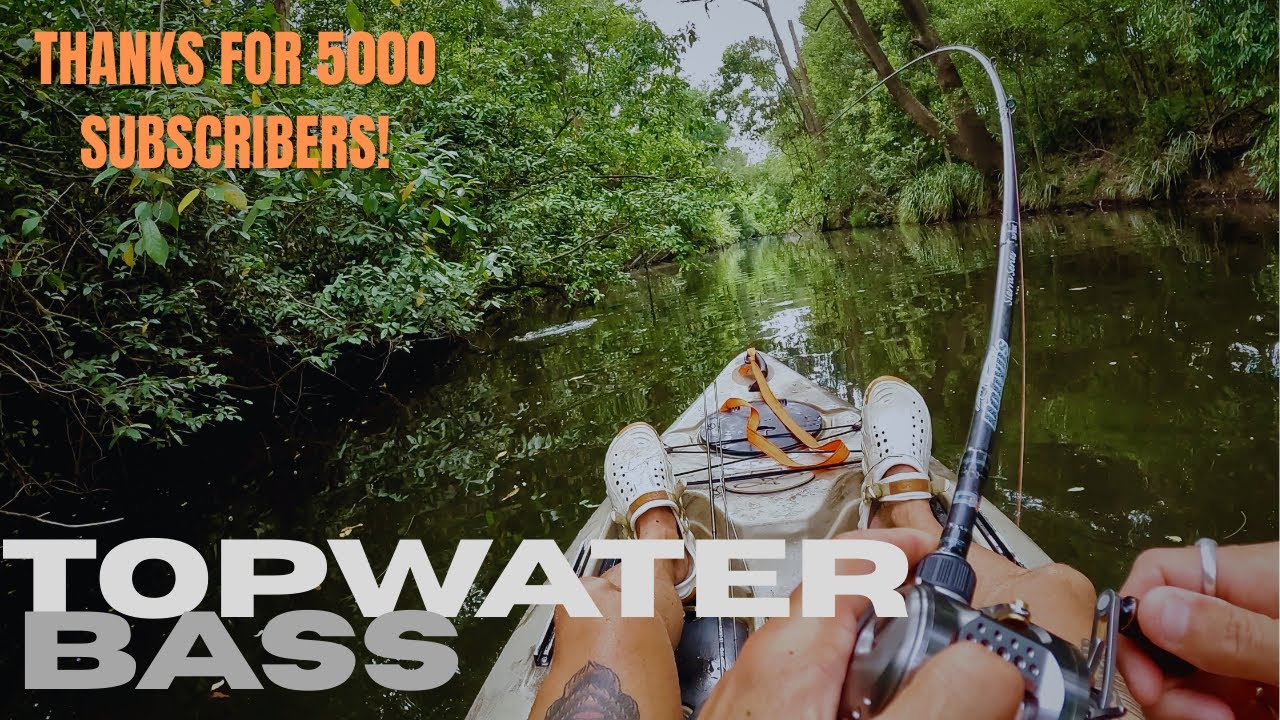 TOP WATER Australian Bass from the kayak! BFS Bass fishing