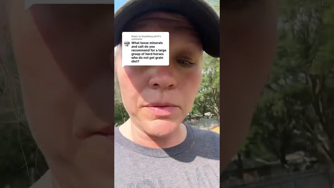 Herd Of Horses Diet Recommendations- Mineral Bar