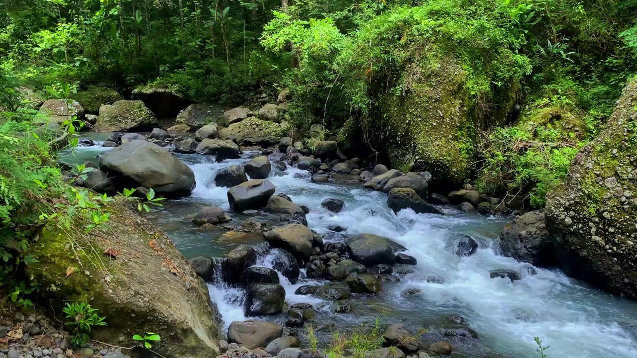 Gentle Water Sounds to Support Meditation and Inner Calm