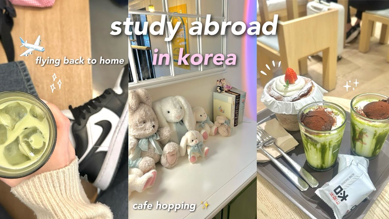 study abroad in Korea ᯓ★ 12 hour flight ✈️, studying, cafe hopping, shopping and lots of food ep.11