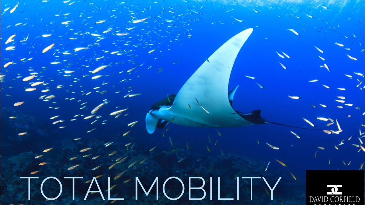 TOTAL MOBILITY 7