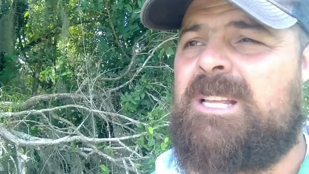 Estou abandonando a atividade leiteira, será que devo lidar com pecuária de corte 