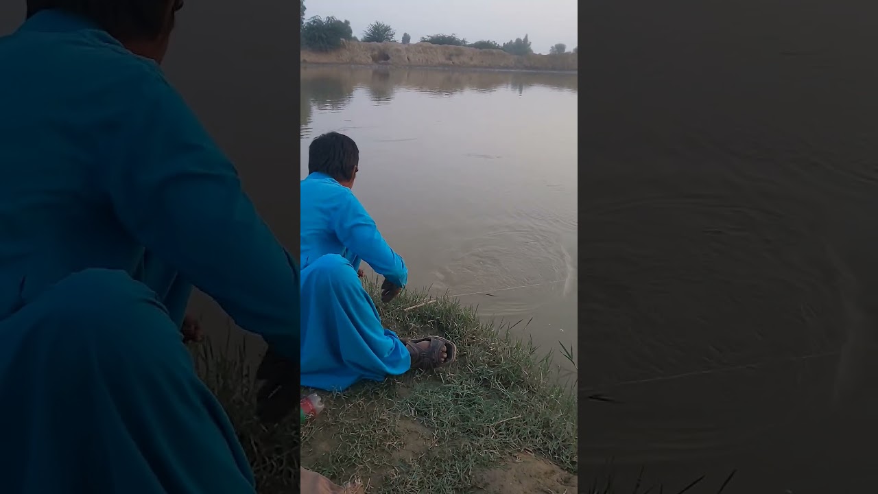#fish #fishing #fishingtips #fishingvideo #fishingshorts #fishingchallenges #cahingfish