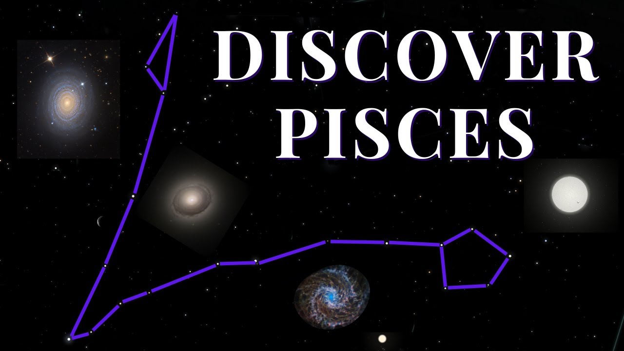 Everything You Didn't Know About The Pisces Constellation