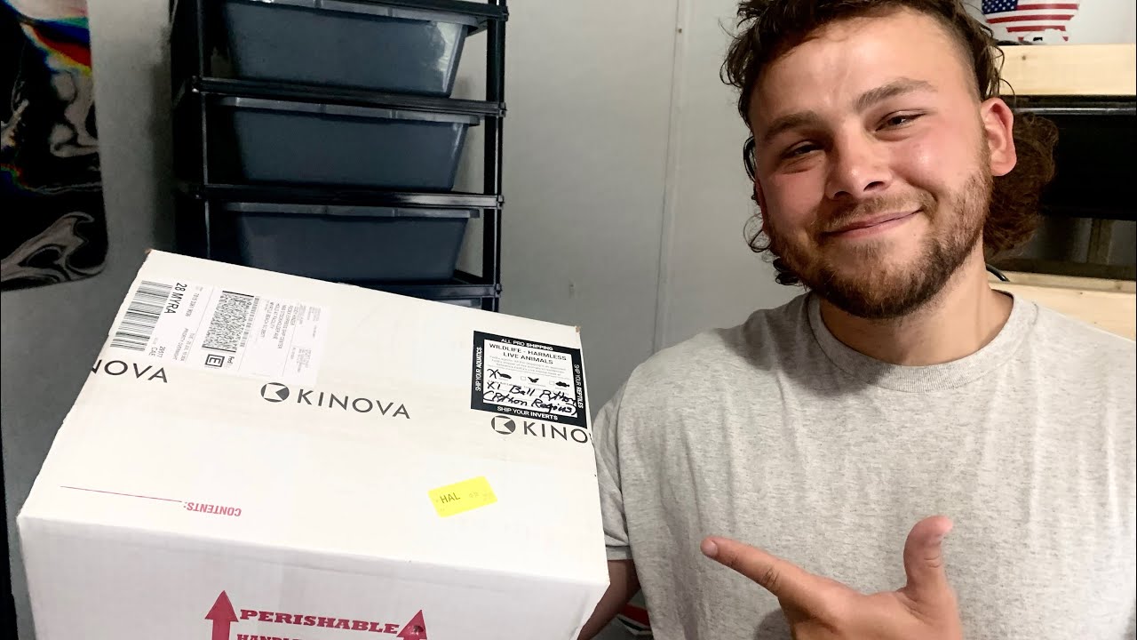 Unboxing POMPEII Ingredients From KINOVA!