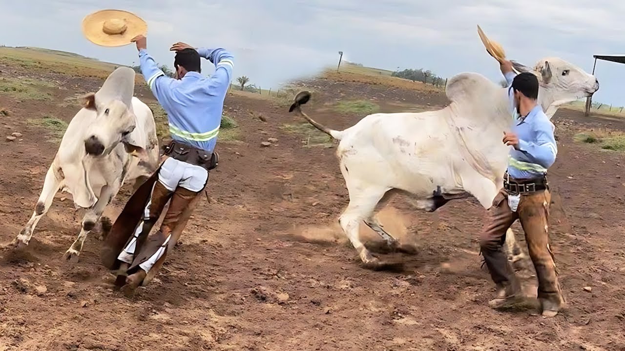 BRUTOS NA CAPA #5 🐂 COM DERRAMADO & DERENSA 😁