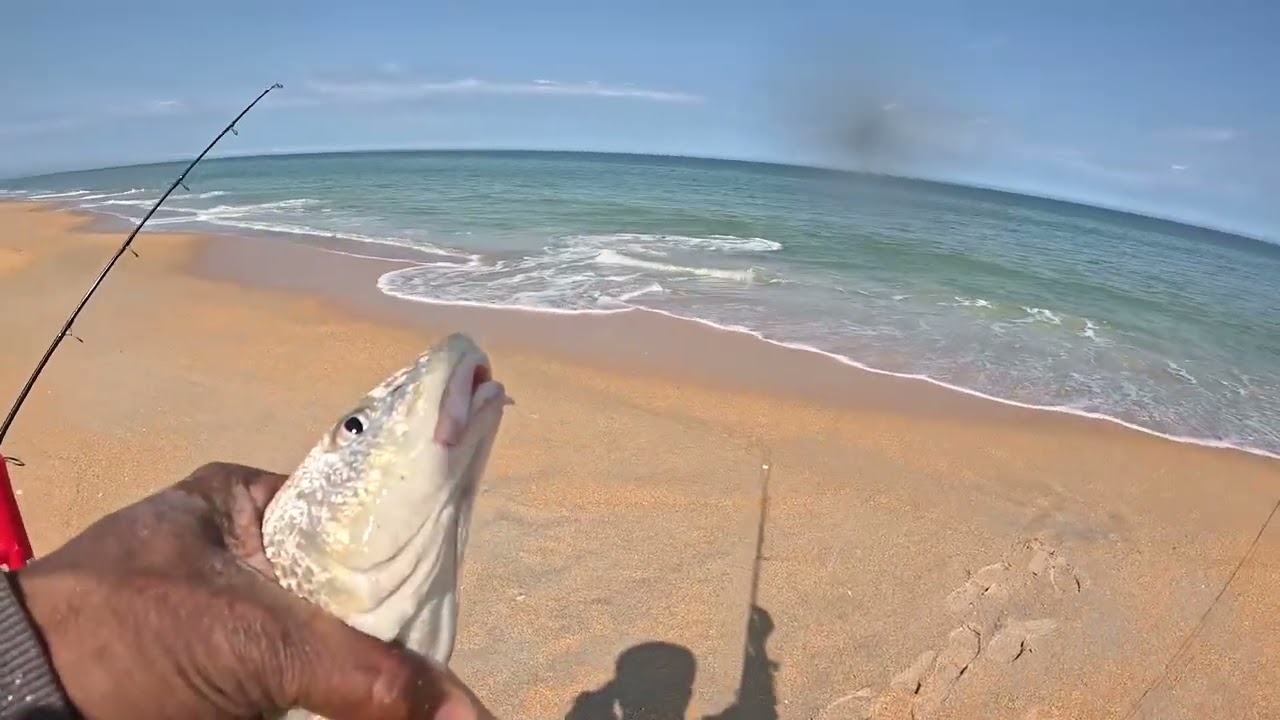 Had To Go Back To Flagler Beach Florida For Round 2