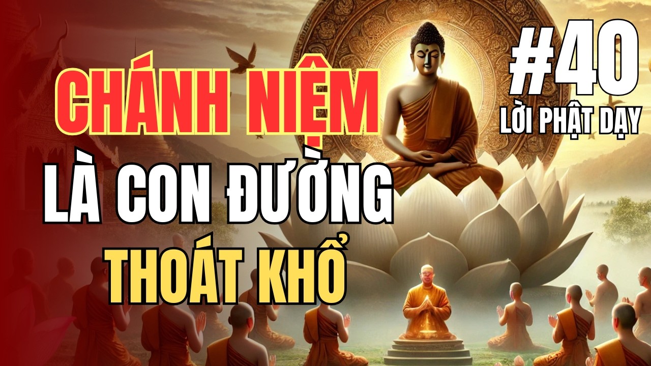 Lời Phật Dạy Về Chánh Niệm – Quay Về Hiện Tại Để Tâm Được An | Tư duy cuộc sống