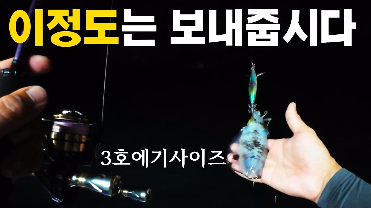 거제권 팁런 전투낚시 지치면 못잡습니다