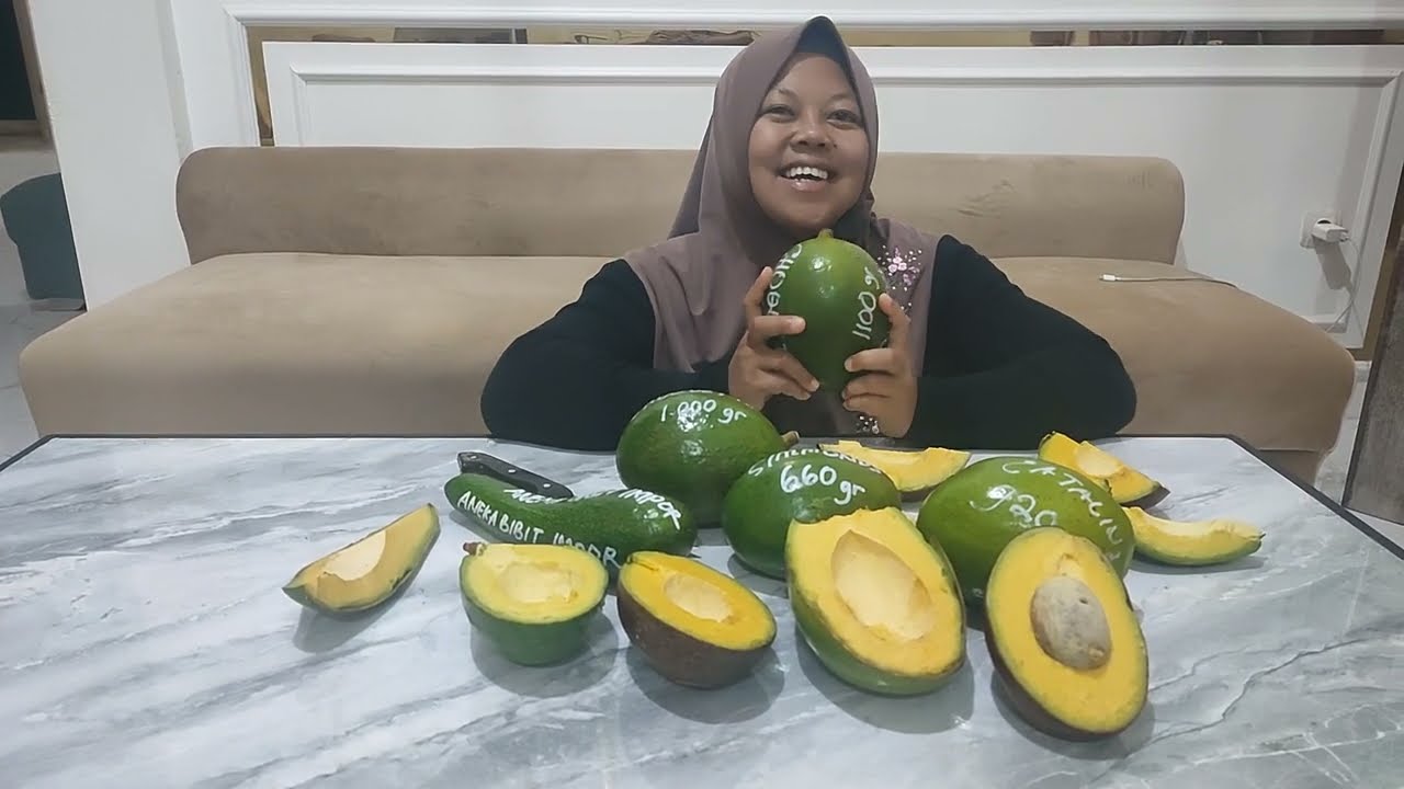 MENENTUKAN VARIETAS ALPUKAT YANG TEPAT SESUAI AGROKLIMATNYA