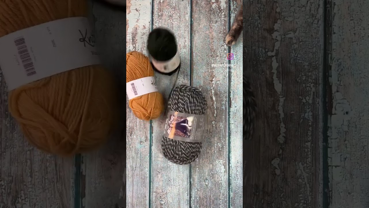 Reluctant Emotional Support Chicken Knitters UNITE! #knitalong #shorts