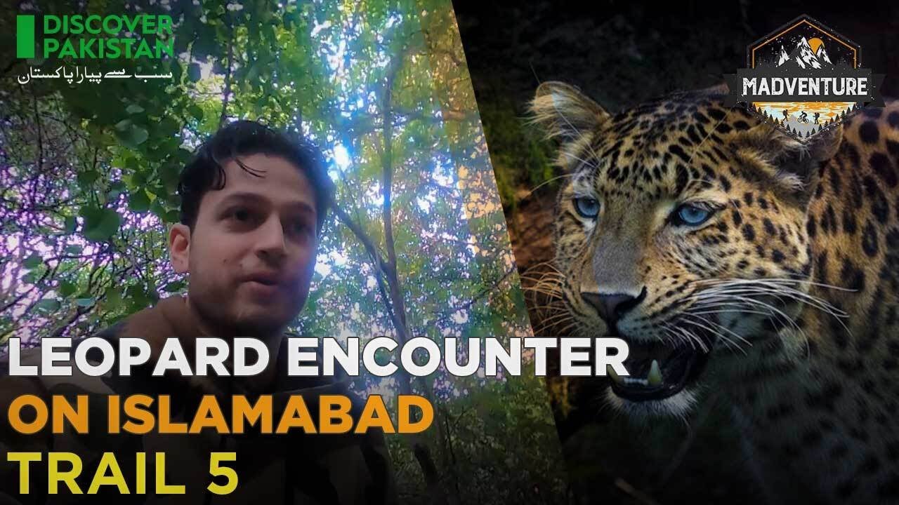 Ammad Mir encountered the most dangerous Leopard on Trail 5, Islamabad | Madventure - Full Episode.