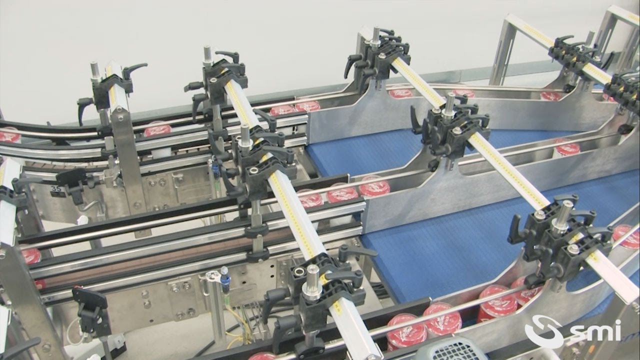 WP 400 casepacker