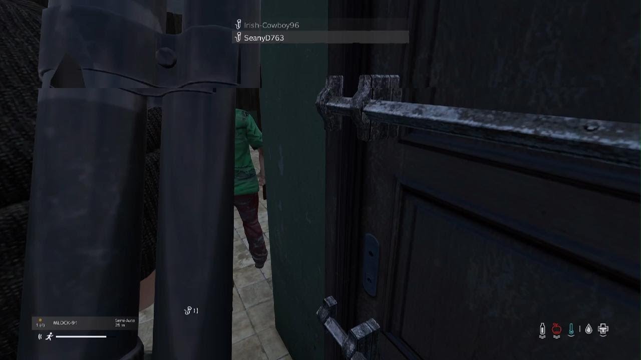 DayZ_20260213162829