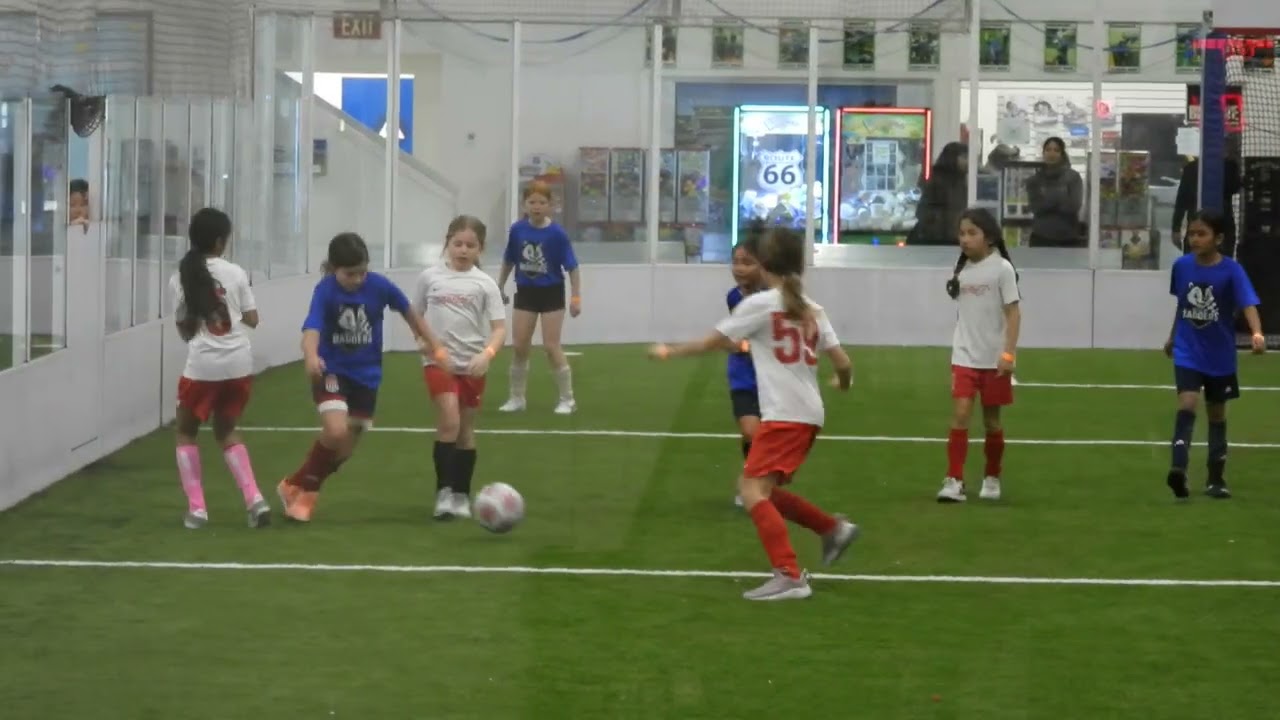 Wild Badgers vs Crispy Chickens First Half 2026--01-23