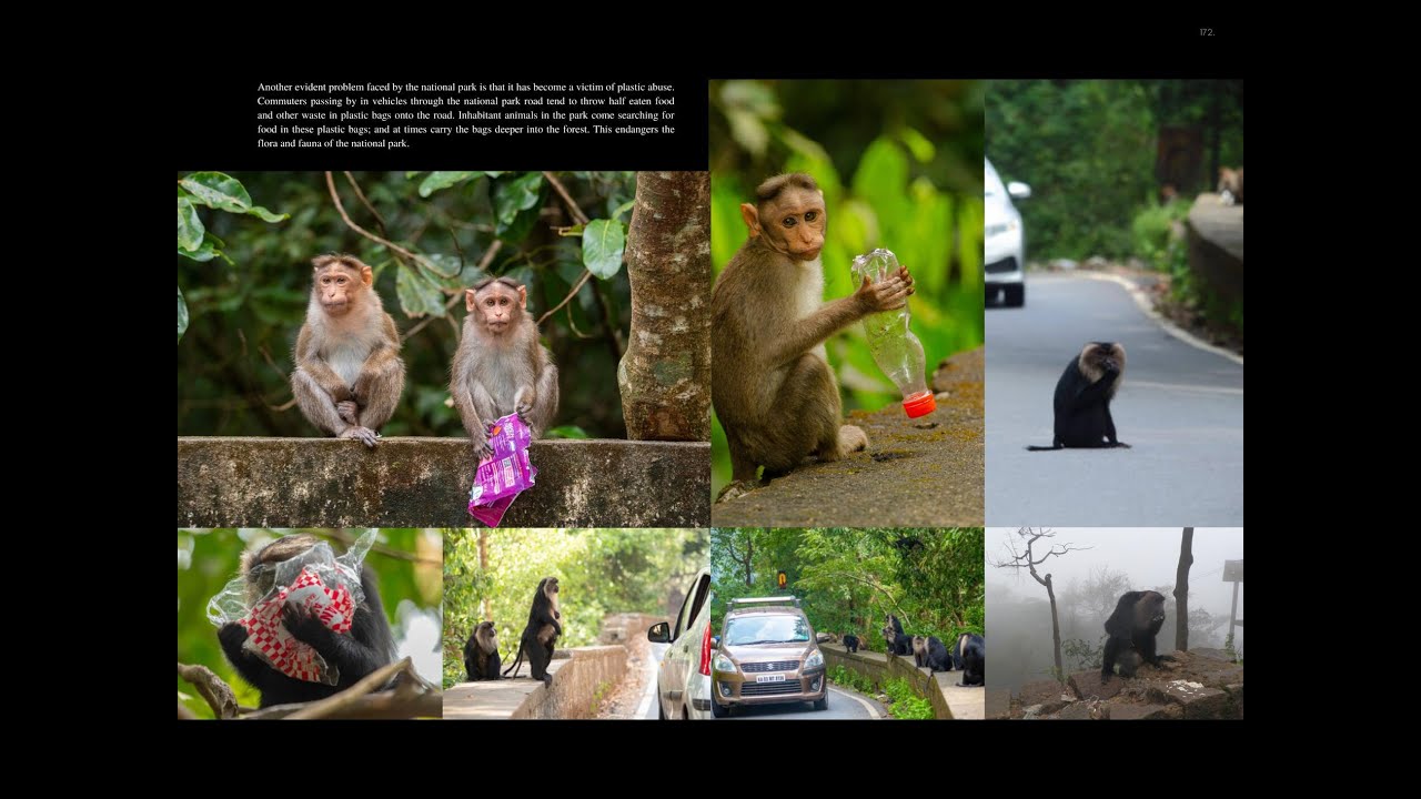 ECO TRASH BAG - An Initiative by Kudremukha Wildlife Division