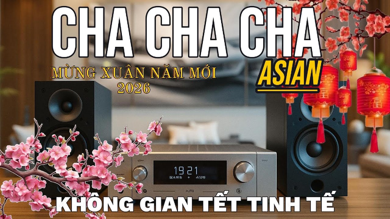 LIÊN KHÚC CHA CHA CHA KHÔNG LỜI CHO KHÔNG GIAN TẾT TINH TẾ