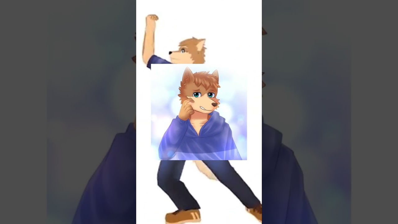 O Dogou Uru &eacute; um gato ou um cachorro?