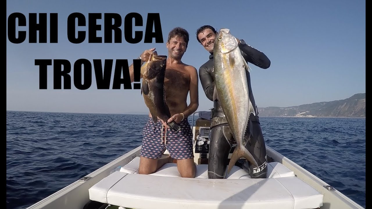Pesca sub, SUPER PESCATA estiva RICCIOLA e CERNIA. Quando L'ECOSCANDAGLIO fa la DIFFERENZA.