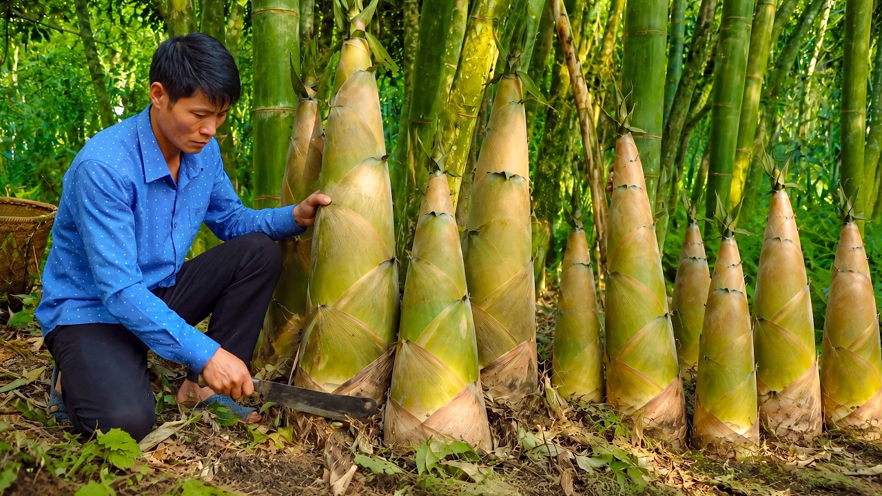Harvesting 8 Tons Bamboo Shoots in Mountainous Terrain and Goes To Market Sell - Take Care Of Pet