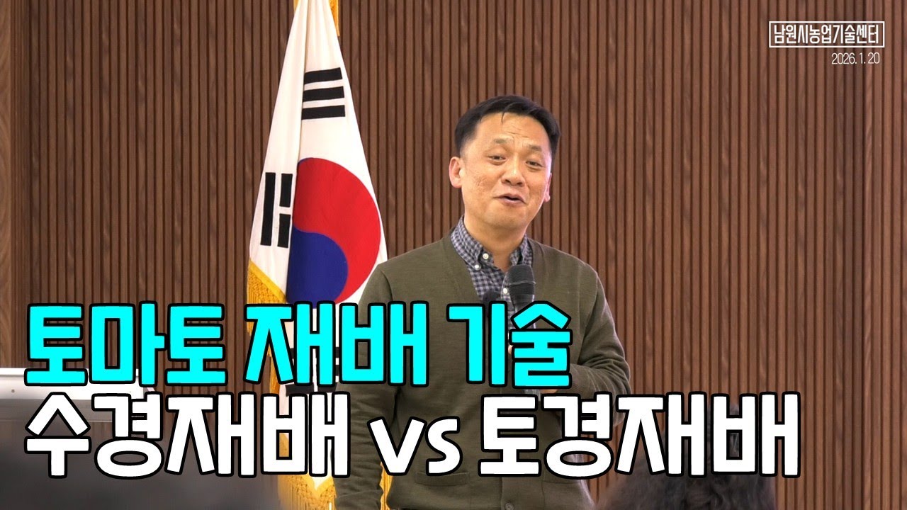 토마토 재배기술 수경재배 vs 토경재배 물관리