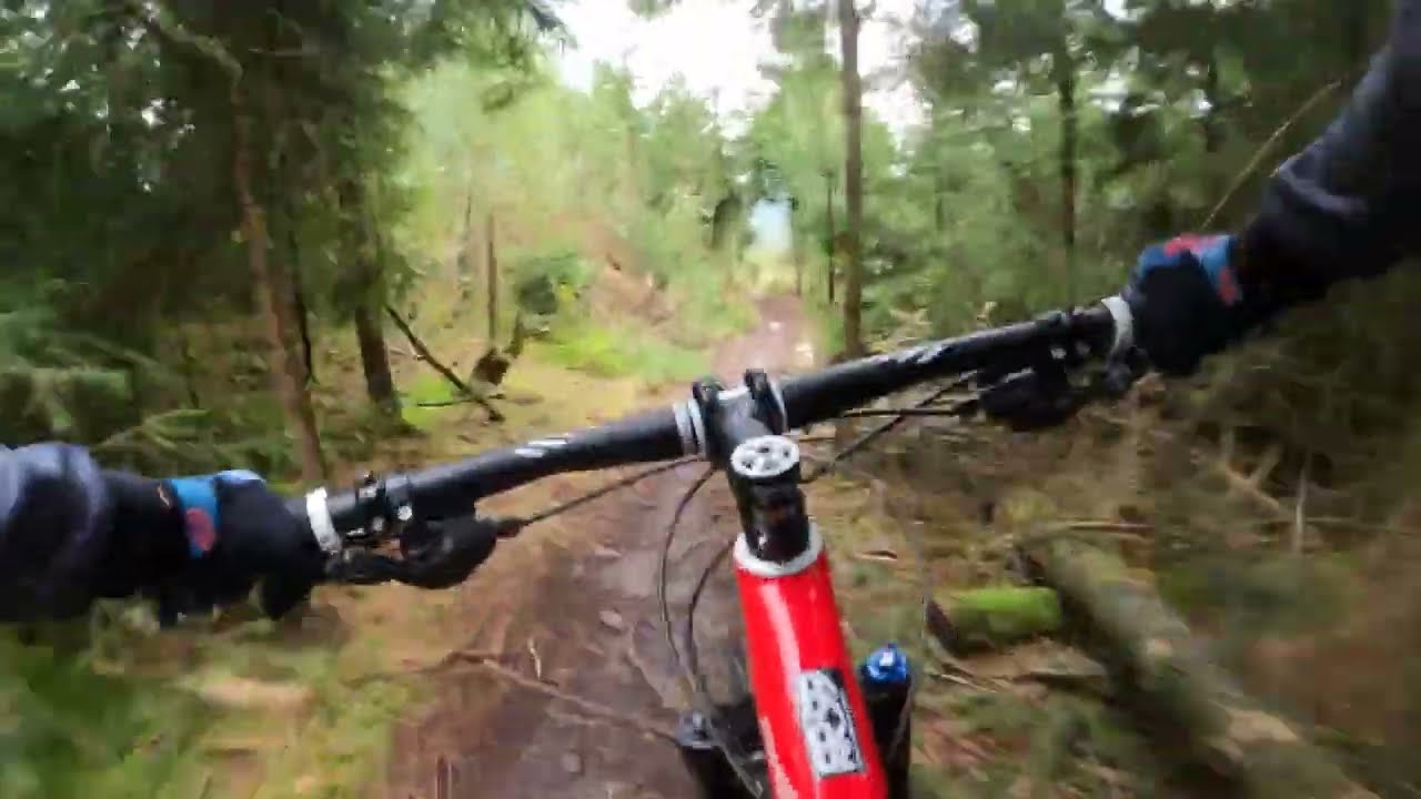 Downhill Trail am Hermannsdenkmal