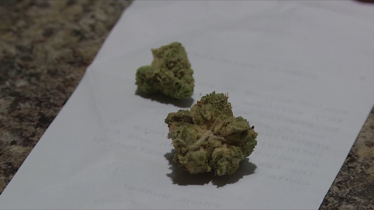 Push for more craft marijuana growers in Illinois